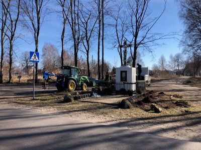 Nasadzenia krzewów w Brześciu
