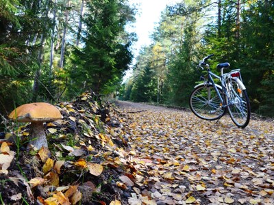 Jeden ze szlaków rowerowych