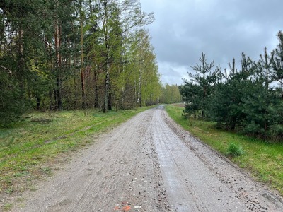 Warszkówko - droga w kierunku Tychowa
