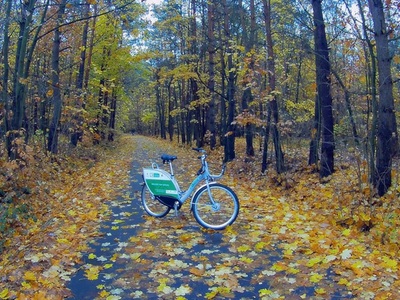 Ścieżka rowerowa Koluszki - Redzeń Stary