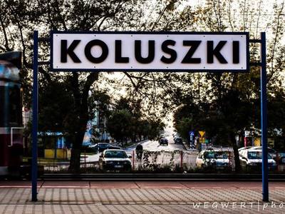 Koluszki