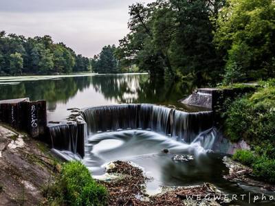 Lisowice