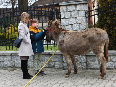 Szopki w gminie