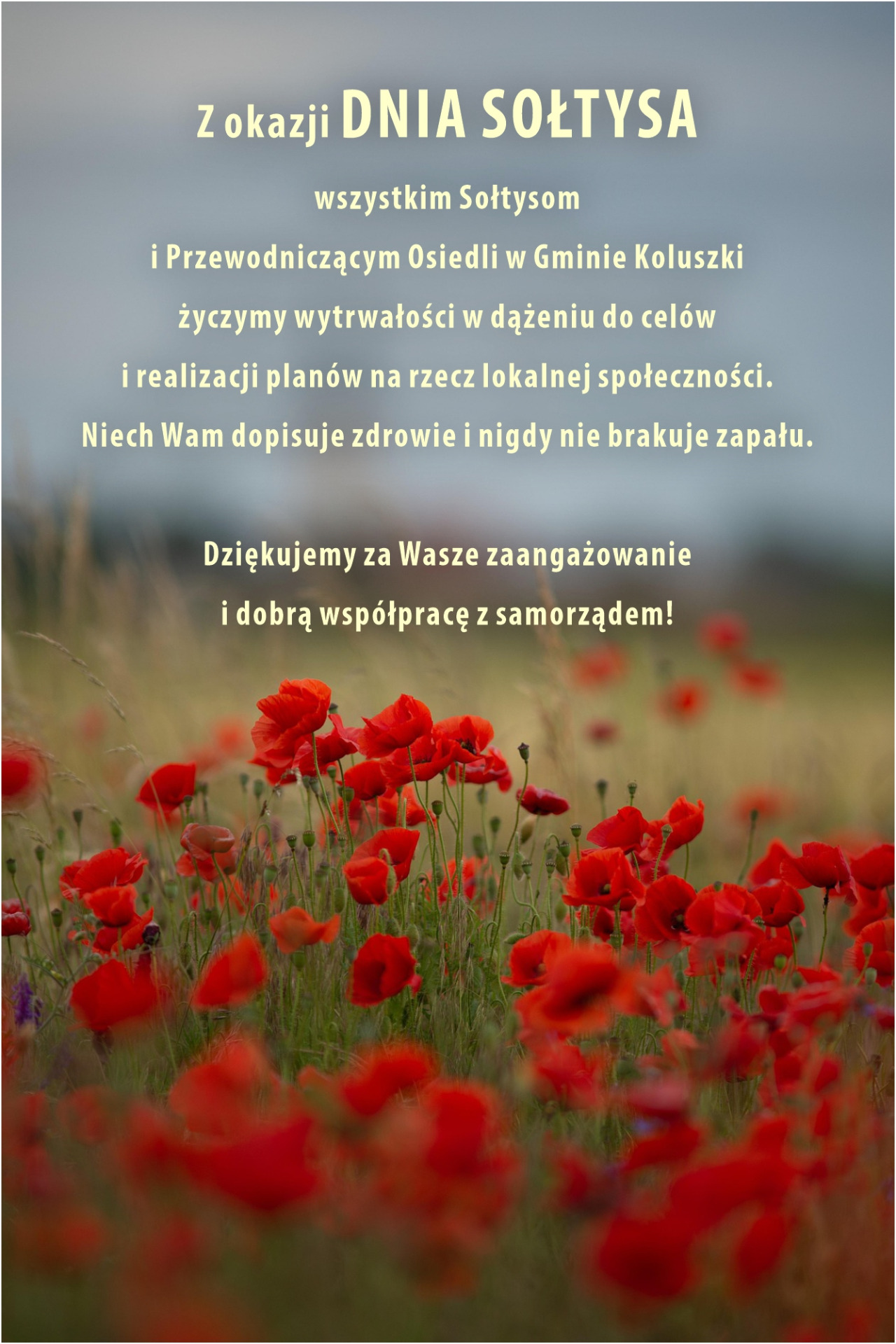 życzenia