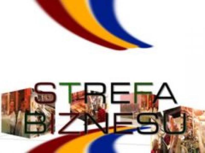 strefa biznesu logo