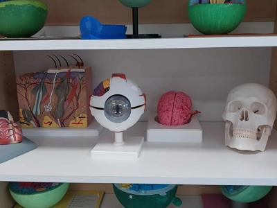 Utworzenie ekopracowni Szkoła Podstawowa nr 2 im. Marii Konopnickiej w Koluszkach