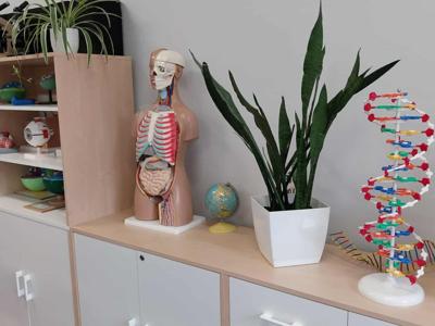 Utworzenie ekopracowni Szkoła Podstawowa nr 2 im. Marii Konopnickiej w Koluszkach