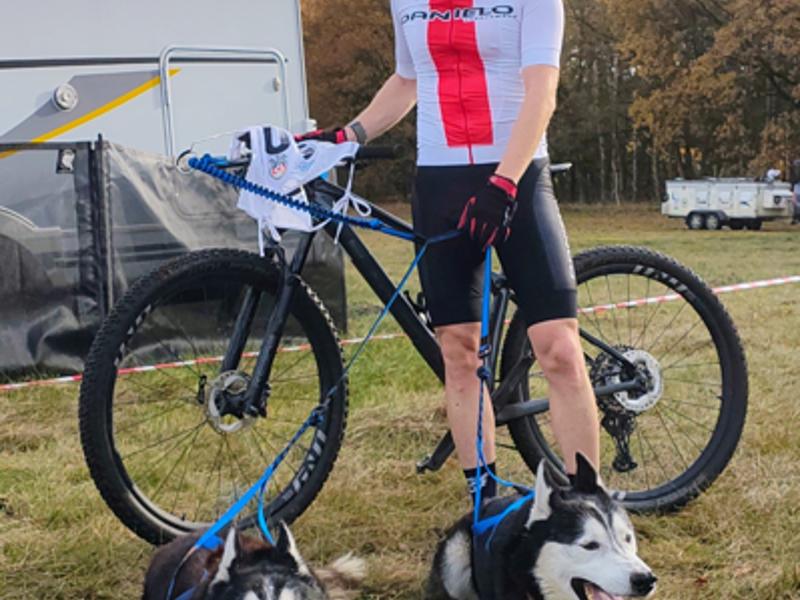 psie zaprzegi podczas mistrzostw świata