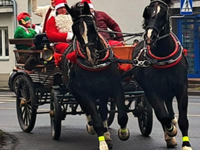 Drużyna św. Mikołaja odwiedziła przedszkola i żłobki