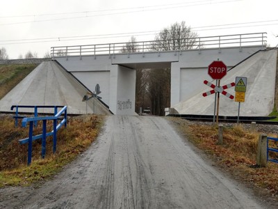 Zdjęcie przedstawia "czarną drogę" prowadzącą przez las