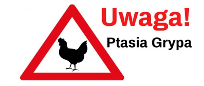 Uwaga ptasia grypa 