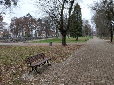park w Koluszkach - widok ławki w parku