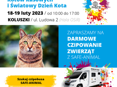 plakat wydarzenia czipobus w Koluszkach