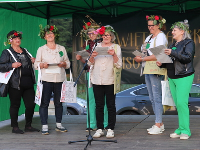 Noc Świętojańska w Lisowicach 