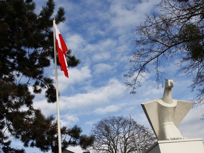 11 Listopada w Koluszkach