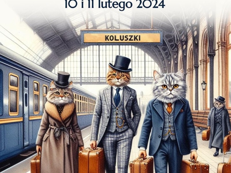 plakat