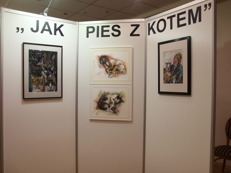 wystawa zdjęcia