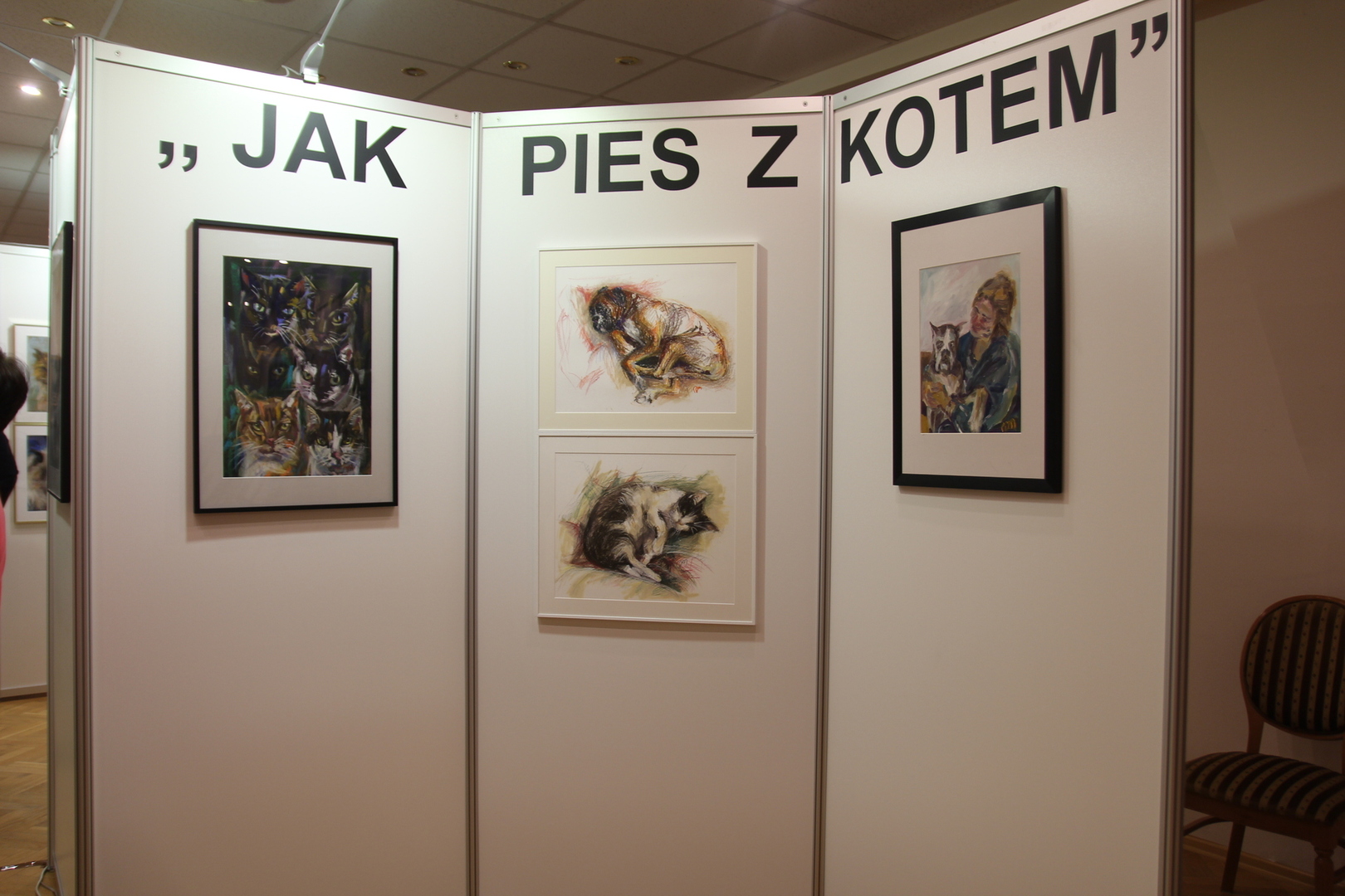 wystawa zdjęcia