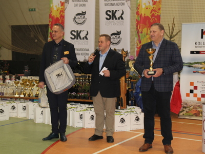 wystawa kotów