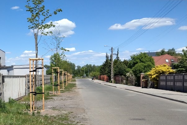 widok ulicy z nasadzeniami