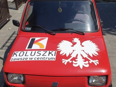 maluch z logo