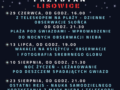 plakat Lisowice