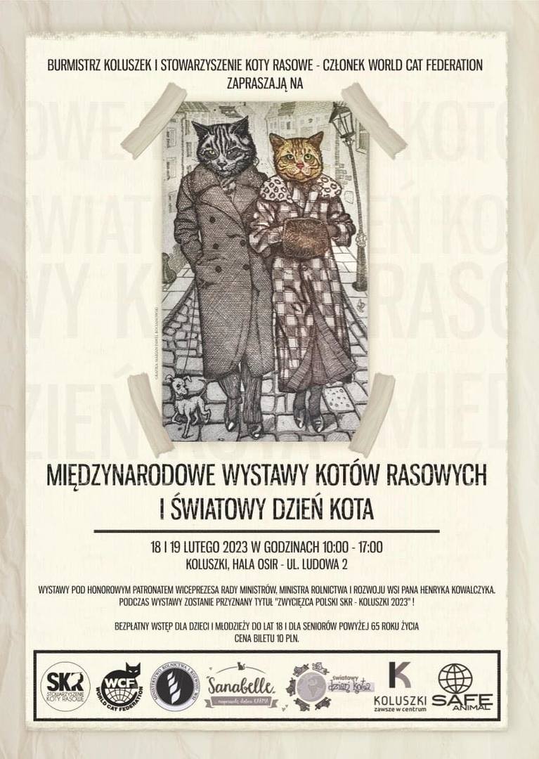 plakat wystawa kotów
