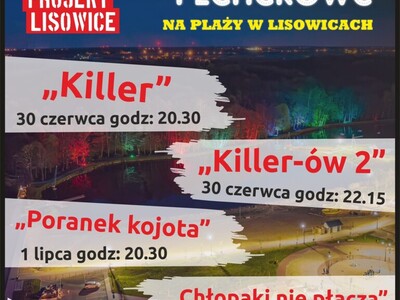 Kino Plenerowe w Lisowicach