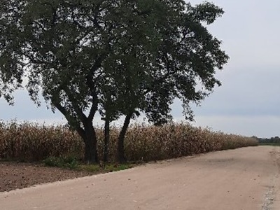 Przebudowa drogi gminnej Bielsk – Ułtowo – Etap I