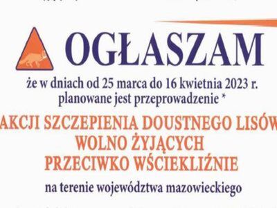 ogłoszenie