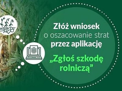 susza
