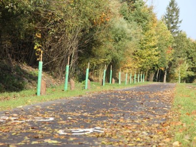 ścieżka rowerowa 2