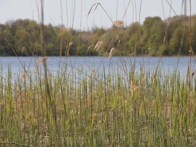 Jezioro Marszewo 