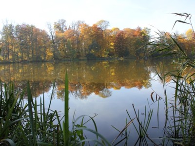 Jezioro Pieńkowo 2