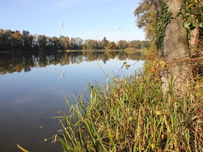 Jezioro Pieńkowo 3