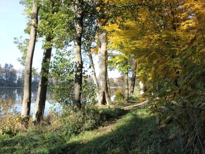 Jezioro Pieńkowo 4