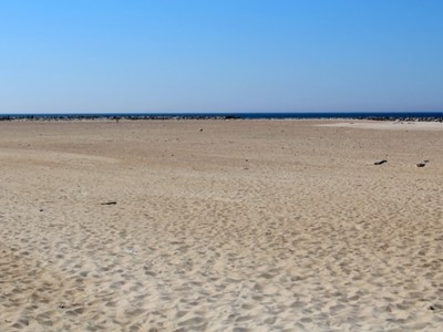Plaża Dubaj 5
