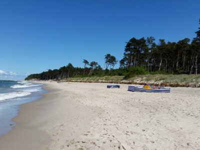 plaża 