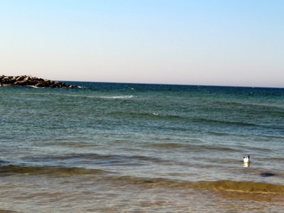 morskie fale