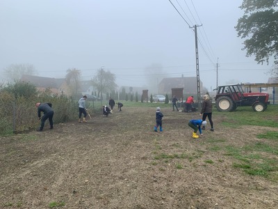 Dzierżęcin