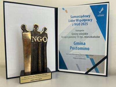 statuetka i dyplom