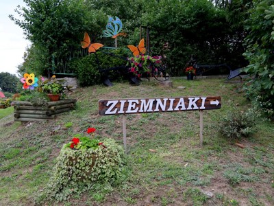 Wszedzień