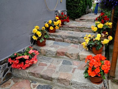 Prywatna posesja