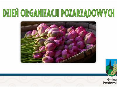 Organizacje pozarządowe - plakat