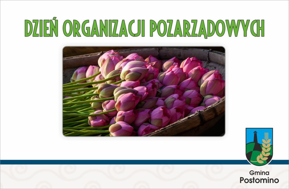 Organizacje pozarządowe - plakat