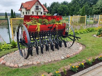 Wszedzień