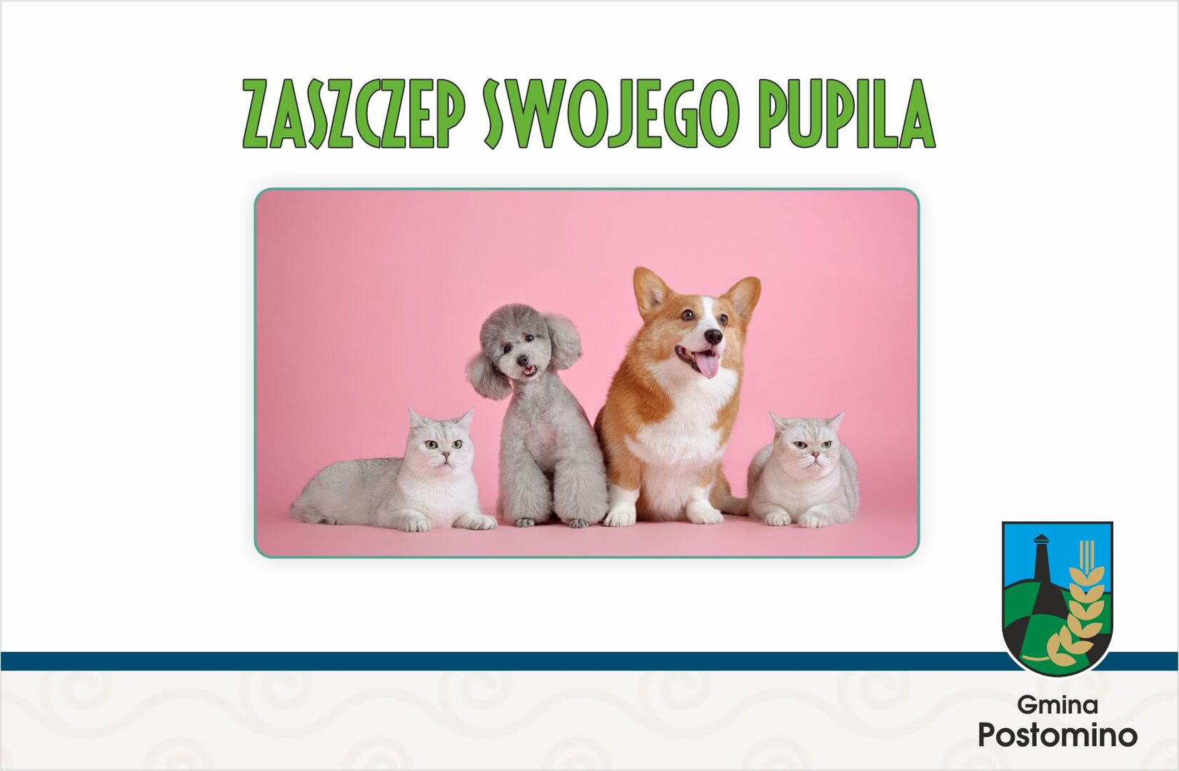 logo zaszczep swojego pupila