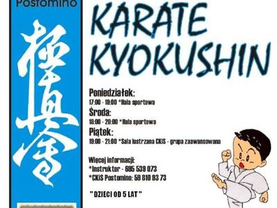 Plakat karate