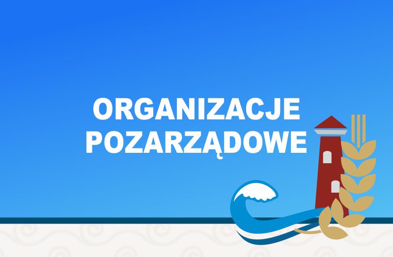 organizacje pozarzadowe