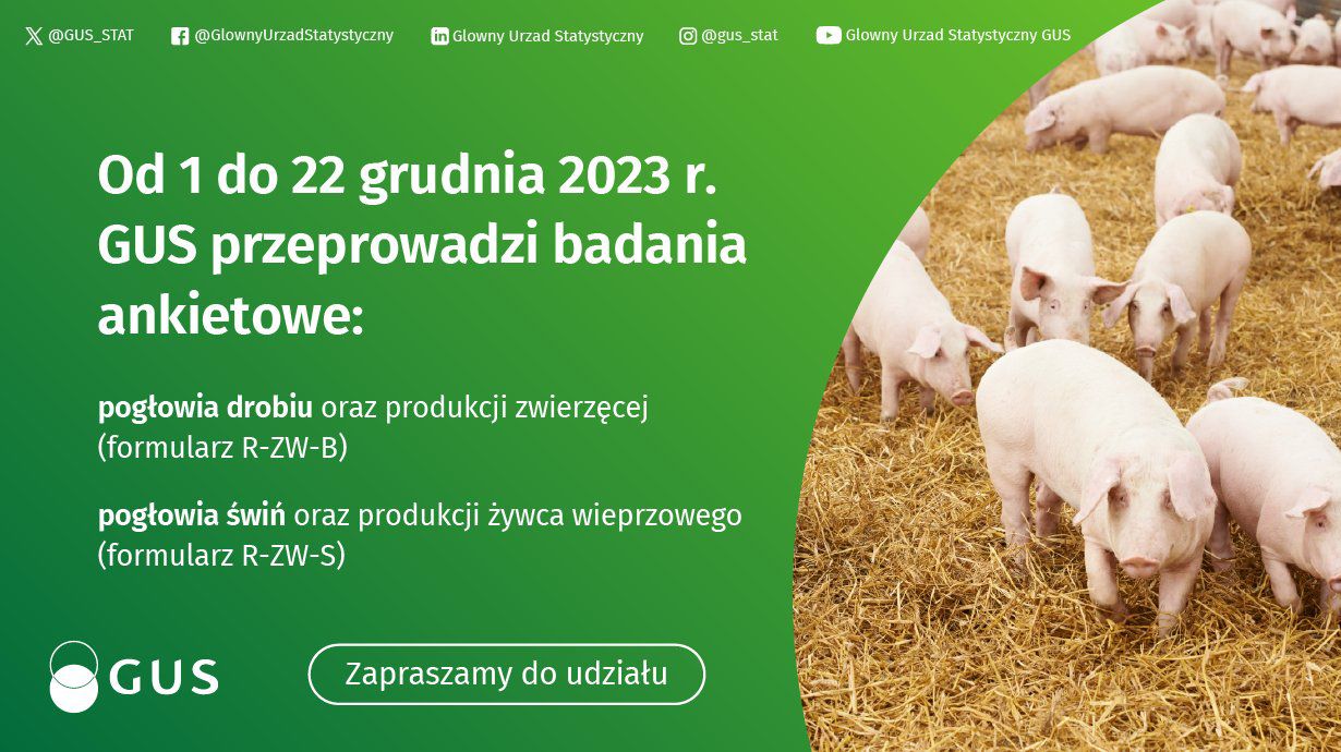 plakat badania